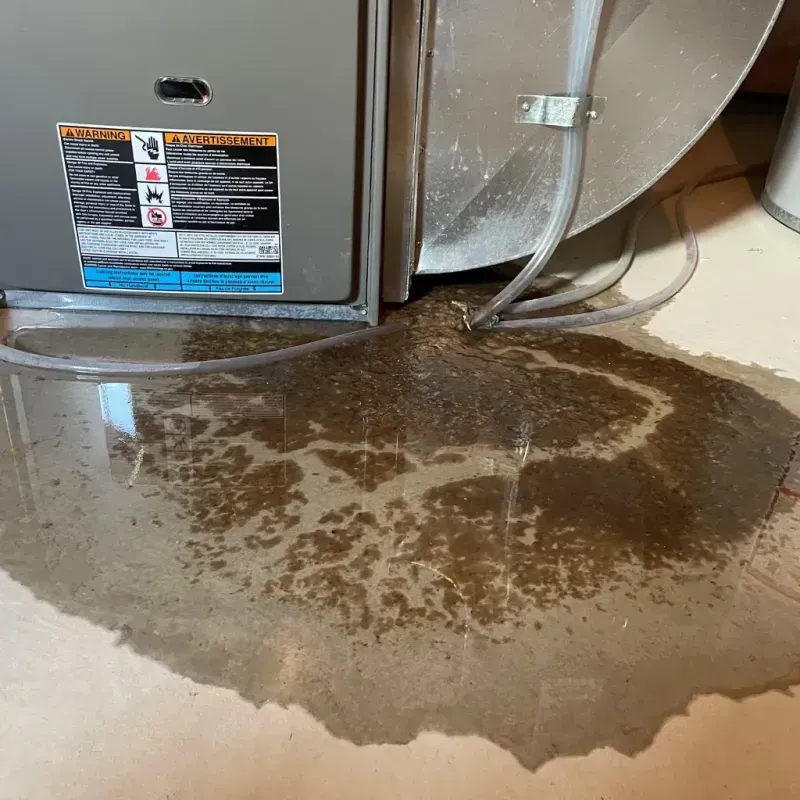 Appliance Leak Cleanup in Bourg, LA